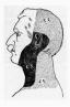 fig37.jpg