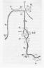fig40.jpg