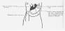 fig55.jpg