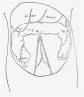 fig57.jpg