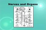 thumbs_Systemic-Disease