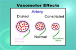 thumbs_Vasomotor-Effects